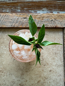 Strawberry + Basil Gin Smash